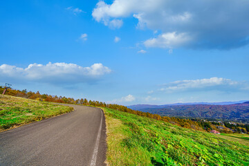 【妙高高原】紅葉時期の高原風景