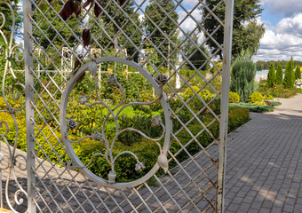 Tver, Tver region. Bright summer day in the city garden. Roses