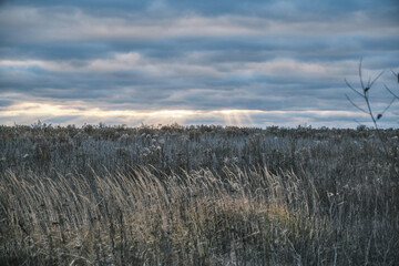 Fototapeta premium Beautiful stormy heavy sky with clouds and sun rays. Beautiful meadow