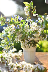 spring bouquet of cherry and forget-me-not flowers. Photo taken with selective focus.