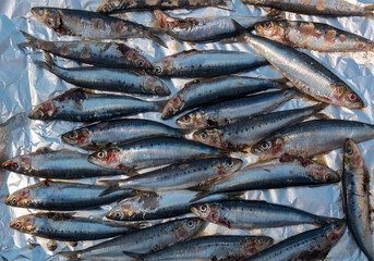close up of fresh grilled sardines