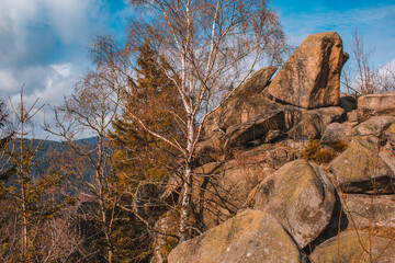 Fototapeta na wymiar Feigenbaumklippe at Okertal. Rocky cliffs near Goslar at Harz Mountains National Park, Germany