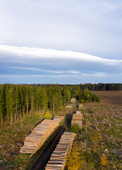 Obraz premium Baumsterben Harz gerodete Waldflächen