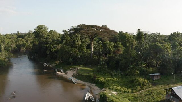 Over the river on the Amazonian forest