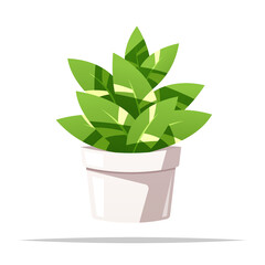 Potted plant vector isolated illustration