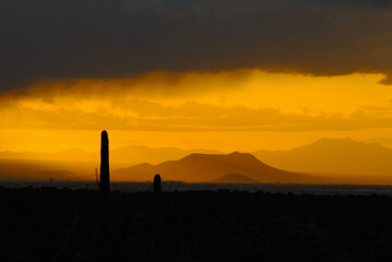 A monsoon rolls over the Sonoran Desert in the late evening.