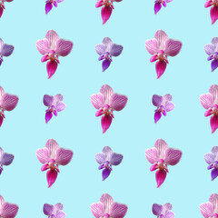 Fototapeta na wymiar Pink orchid on blue background. Isolated flowers. Seamless floral pattern for fabric, textile, wrapping paper. Tropical flower