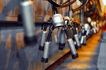 Close up of a milking device in cowshed farm