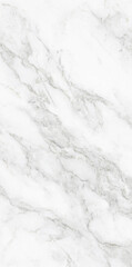 Fototapeta na wymiar white Calacatta marble design with polished finish use for tiles design and wall paper