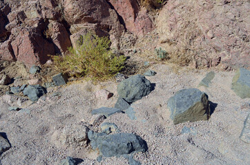 Desert of Sinai Peninsula, Egypt. Near Sharm El Sheikh