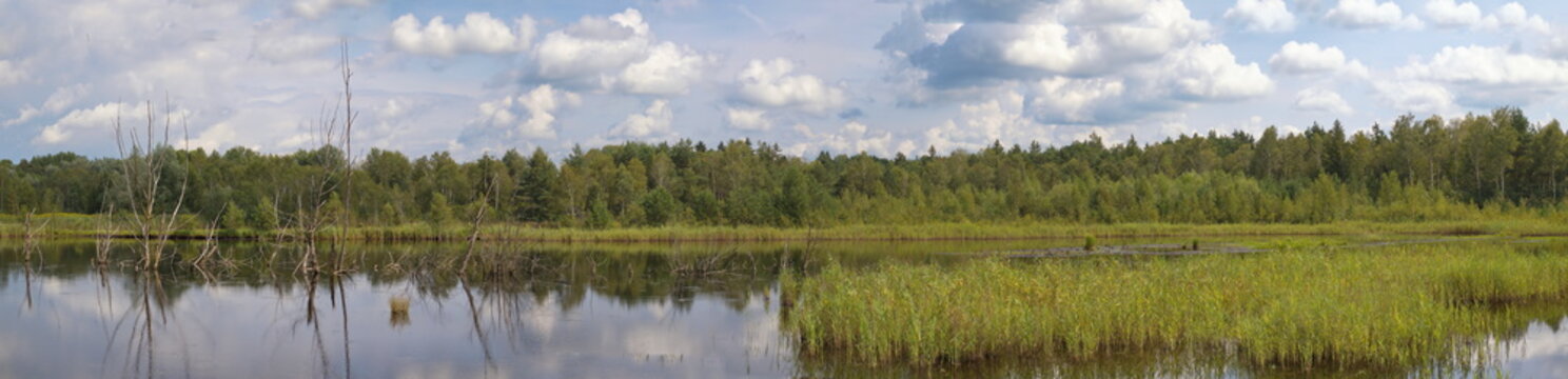 Vogelparadies Weidmooser Moor / Salzburg / &Ouml;sterreich