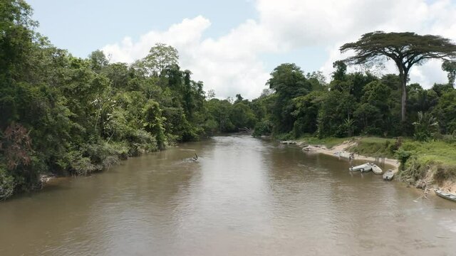 Over the river on the Amazonian forest