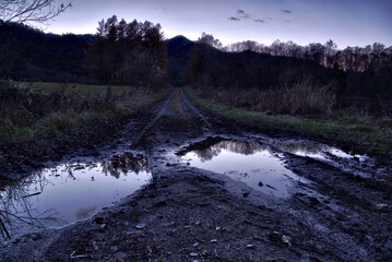 雨上がりの薄暗い農道
