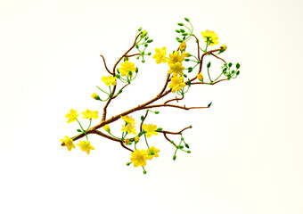 Fake Ochna branches to decorate for celebrating Lunar New Year. It's also called Tet holidays in Vietnam, isolated on white background