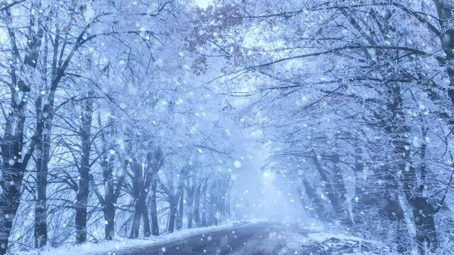 Slowly falling snow on a background of a beautiful winter landscape of a road with trees in hoarfrost.