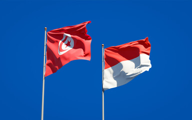 Beautiful national state flags of Tunisia and Indonesia.