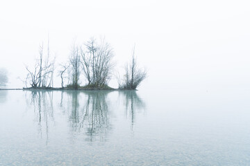 Baumspiegelung im Nebel am See