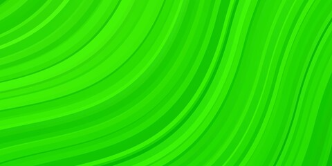 Light Green vector background with curves.