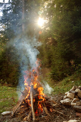 Camp fire in the forest.