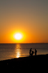 people on the seashore during sunset