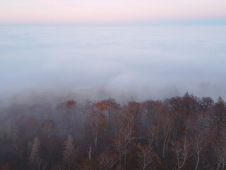 Aerial view of an autumn forest in the fog with a sea of clouds in the background. Soft focus, like a painting.