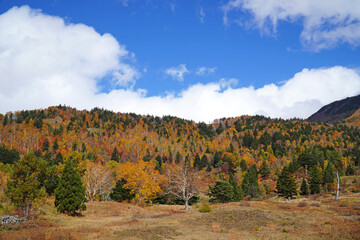 秋の山田牧場