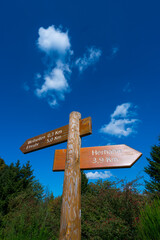 Sign Pole, Eifel National Park, North Eifel Territory, Eifel Region, Germany, Europe