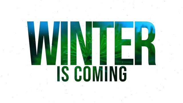 Winter is coming, snow is falling on the trees