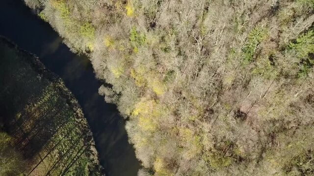 Belgique Wallonie Ardenne bois foret nature Gaume Chiny Semois riviere