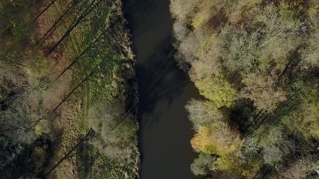 Belgique Wallonie Ardenne bois foret nature Gaume Chiny Semois riviere