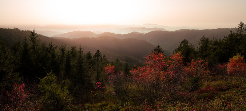 Atemberaubendes Panorama von Landschaft Wald Berge H&uuml;gel im Schwarzwald ( Black Forest ) auf dem Schliffkopf an der Schwarzwaldhochstra&szlig;e im Herbst, mit Nebel am Morgen - Nationalpark Nordschwarzwald