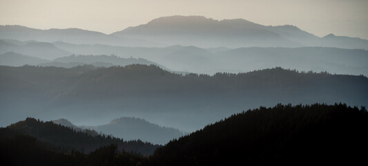 Amazing silhouette of fog landscape in black forest panorama banner long	