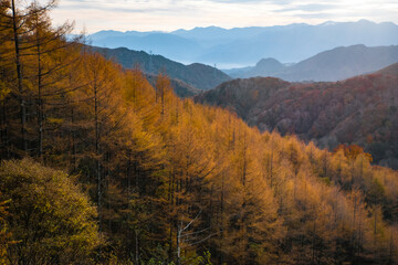 紅葉した山々