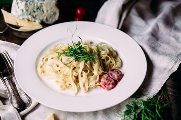 Pasta with cheese sauce on a white plate