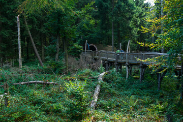 Der Wilde Weg Trail, Eifel National Park, North Eifel Territory, Eifel Region, Germany, Europe