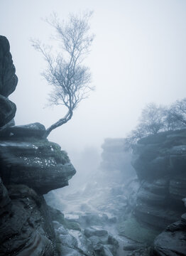Mist at Brimham Rocks, North Yorkshire