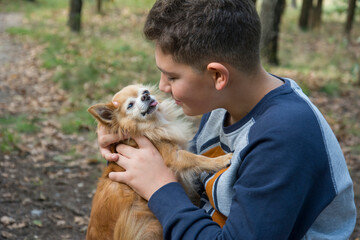 In summer, in the forest, a boy holds a small red dog in his arms.