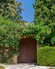 old house wooden door and stone fence covered by green foliage