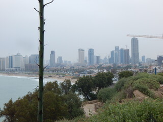 Fototapeta premium view of the city