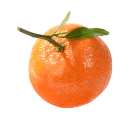 Mandarine mit Blatt