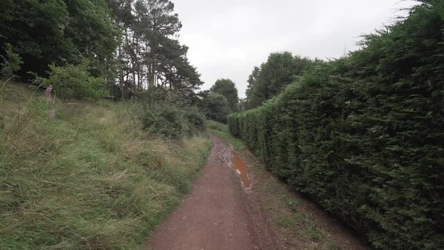 Walking Steady Shot Along A Wet And Muddy Red Dirt Path Near Trees In A Woodland Nature Reserve