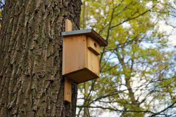 Vogelhaus / Nistkasten für Vögel an einem Baum im Wald, Artenschutz, Umweltschutz, Biodiversität 