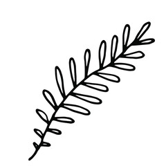Herb digital drawing. Plant. Simple illustration. Vector image. 