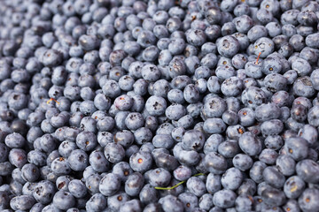 berries blueberry texture background