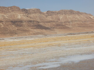 Fototapeta premium park