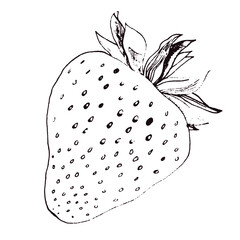 Strawberry ink drawing. Fruits. Grocery. Simple food illustration. Vector image. 