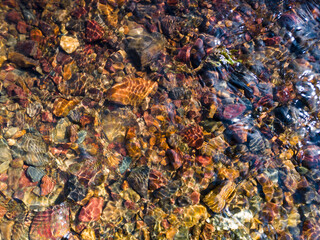 Detail from the creek, the shallow water flows over the colorful gravel and makes a pattern of refracting light during a sunny summer day.