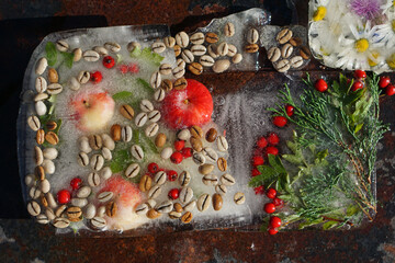 Background   fresh season red apple,  green coffee beans, red berry, flowers   in ice   cube