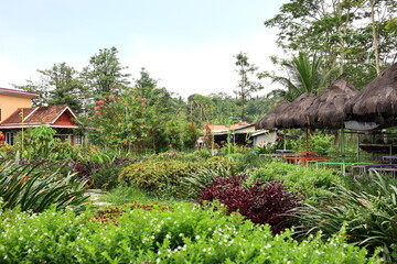 Beautiful garden in the courtyard of a villa in a fresh mountain, with a blend of purple and green