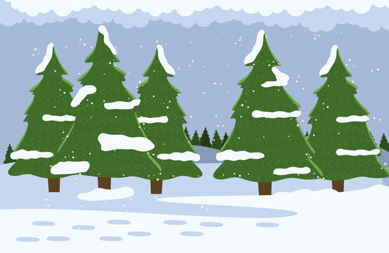 Evergreen trees, spruce, pine with snowy tops. Coniferous trees in winter forest. Winter time, snowy plain. Blue background. Snowfall, snowflakes, snowdrifts. Flat vector image for web, games, apps